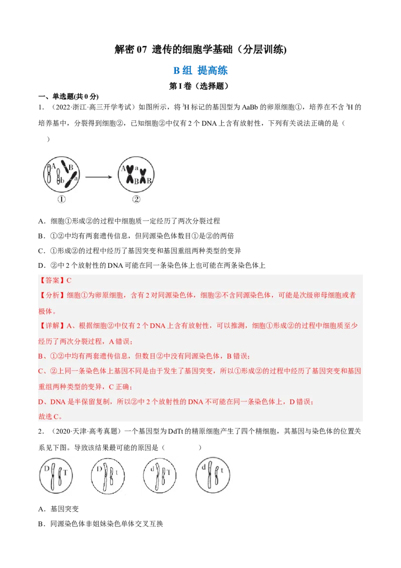 解密07遗传的细胞学基础（分层训练)（解析版）_新高考复习资料_2023年新高考复习资料_二轮复习_高频考点解密2023年高考生物二轮复习讲义+分层训练（全国通用）288808838
