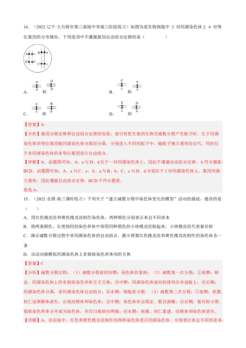 解密07遗传的细胞学基础（分层训练)（解析版）_新高考复习资料_2023年新高考复习资料_二轮复习_高频考点解密2023年高考生物二轮复习讲义+分层训练（全国通用）288808838