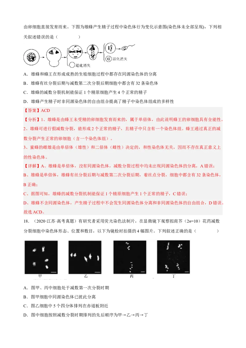 解密07遗传的细胞学基础（分层训练)（解析版）_新高考复习资料_2023年新高考复习资料_二轮复习_高频考点解密2023年高考生物二轮复习讲义+分层训练（全国通用）288808838
