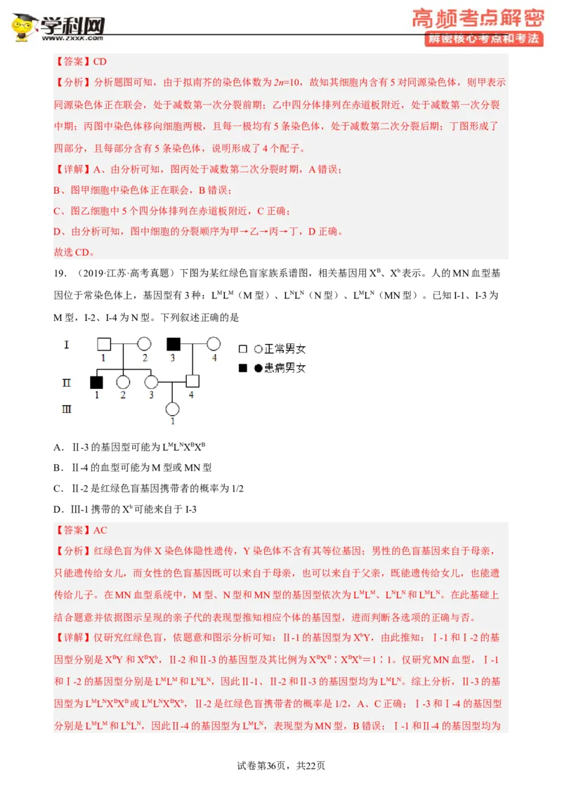 解密07遗传的细胞学基础（分层训练)（解析版）_新高考复习资料_2023年新高考复习资料_二轮复习_高频考点解密2023年高考生物二轮复习讲义+分层训练（全国通用）288808838