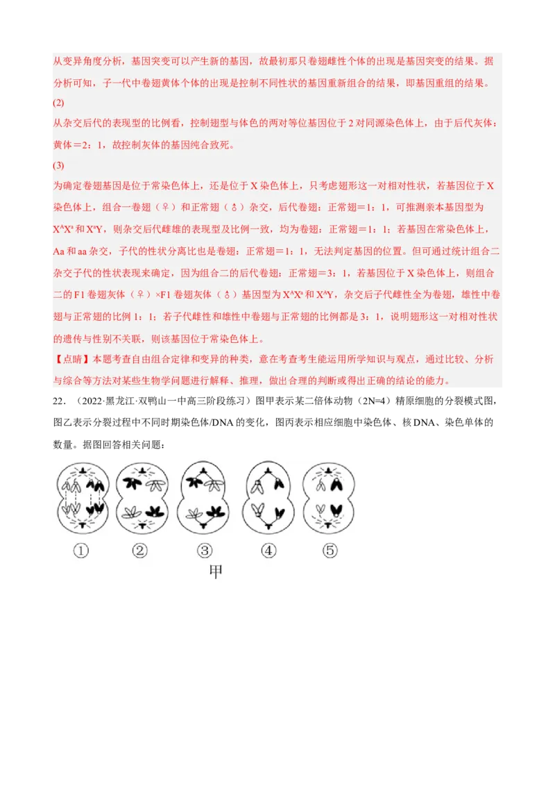 解密07遗传的细胞学基础（分层训练)（解析版）_新高考复习资料_2023年新高考复习资料_二轮复习_高频考点解密2023年高考生物二轮复习讲义+分层训练（全国通用）288808838
