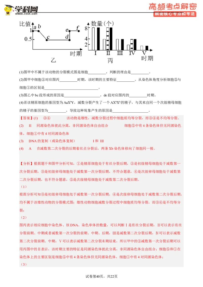 解密07遗传的细胞学基础（分层训练)（解析版）_新高考复习资料_2023年新高考复习资料_二轮复习_高频考点解密2023年高考生物二轮复习讲义+分层训练（全国通用）288808838