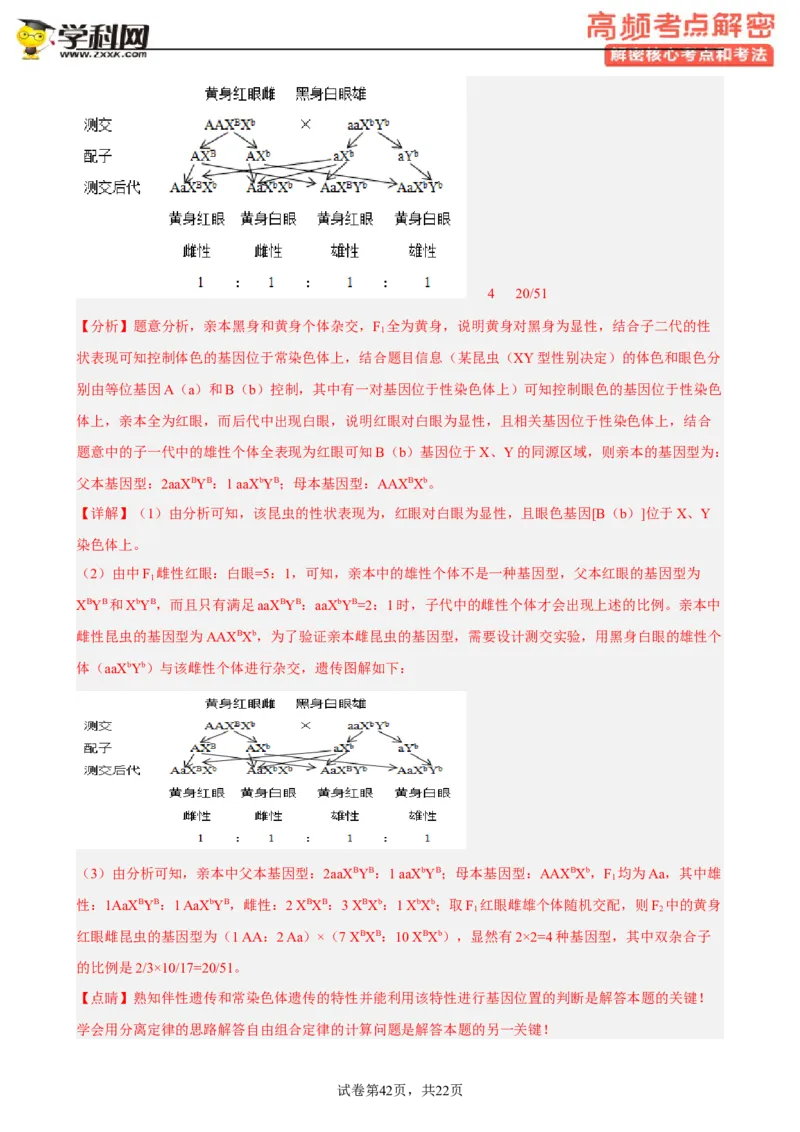 解密07遗传的细胞学基础（分层训练)（解析版）_新高考复习资料_2023年新高考复习资料_二轮复习_高频考点解密2023年高考生物二轮复习讲义+分层训练（全国通用）288808838