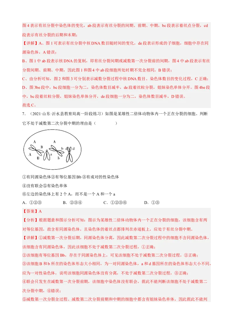 解密07遗传的细胞学基础（分层训练)（解析版）_新高考复习资料_2023年新高考复习资料_二轮复习_高频考点解密2023年高考生物二轮复习讲义+分层训练（全国通用）288808838