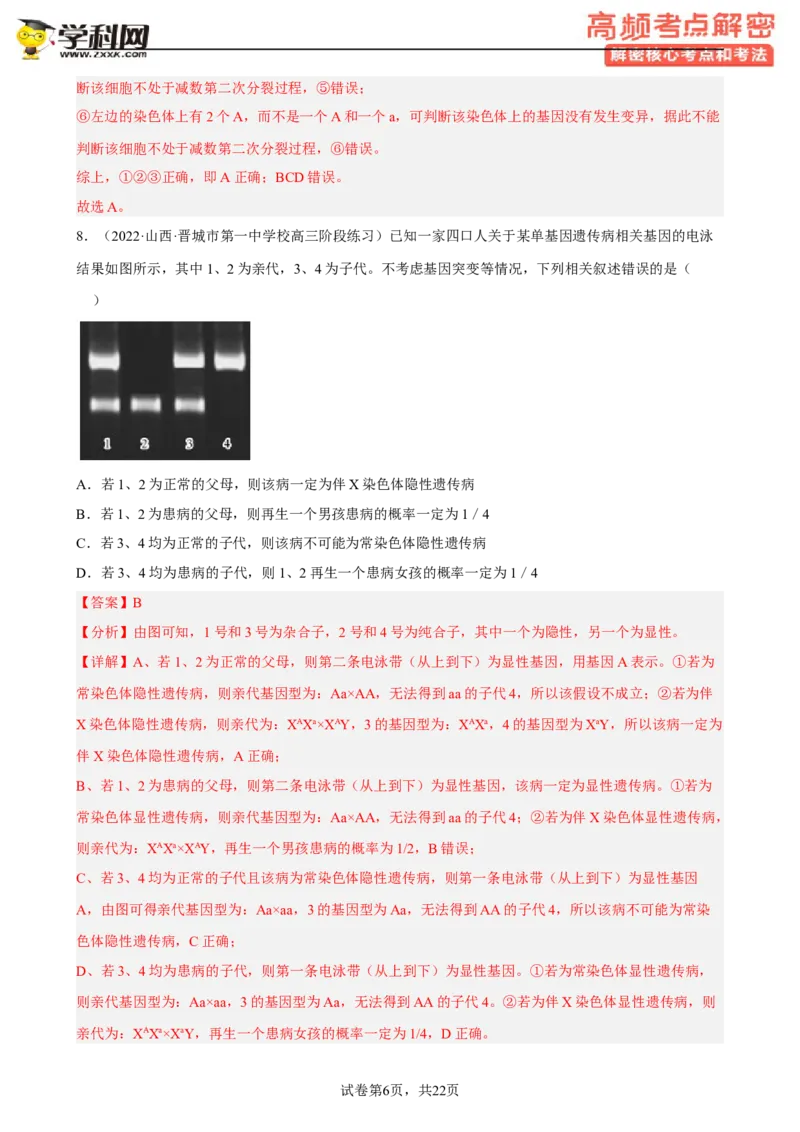 解密07遗传的细胞学基础（分层训练)（解析版）_新高考复习资料_2023年新高考复习资料_二轮复习_高频考点解密2023年高考生物二轮复习讲义+分层训练（全国通用）288808838