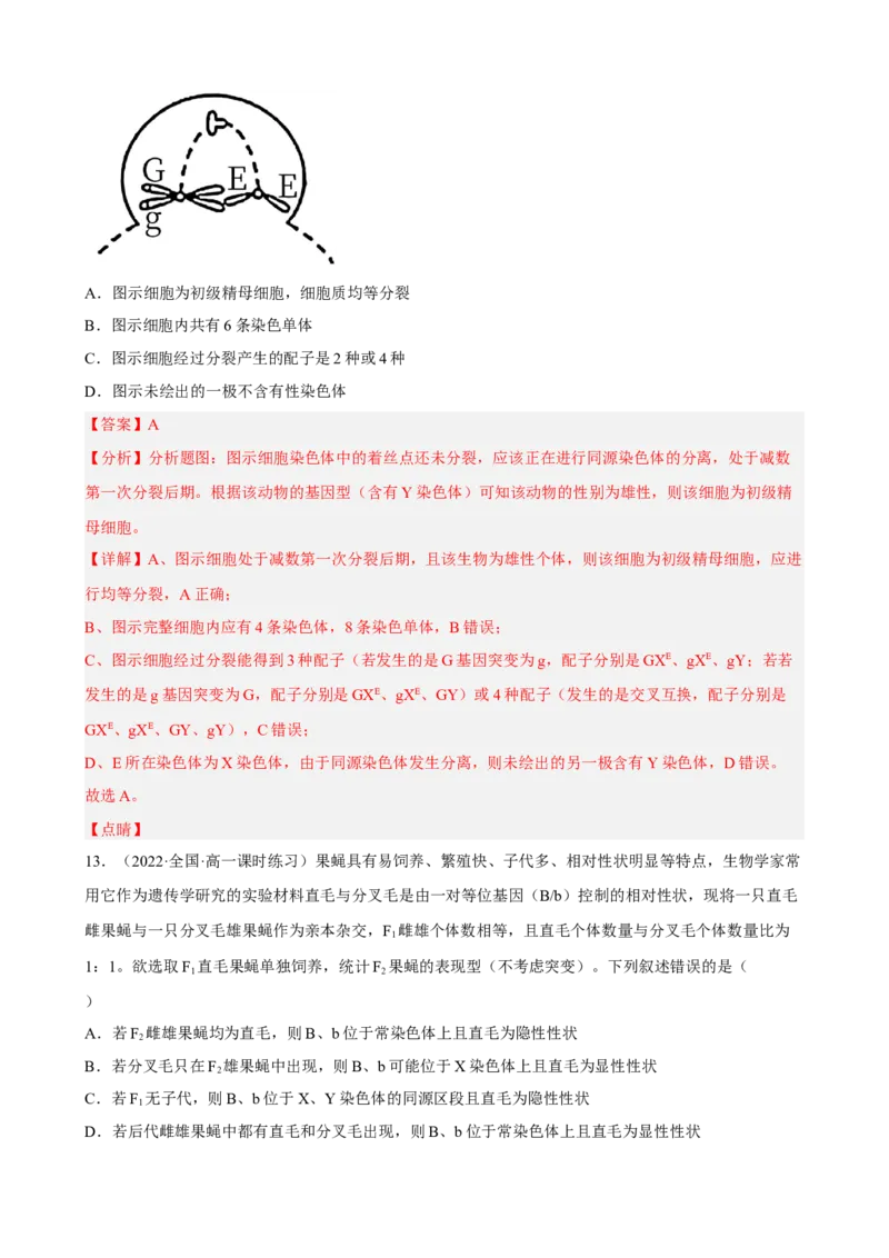 解密07遗传的细胞学基础（分层训练)（解析版）_新高考复习资料_2023年新高考复习资料_二轮复习_高频考点解密2023年高考生物二轮复习讲义+分层训练（全国通用）288808838