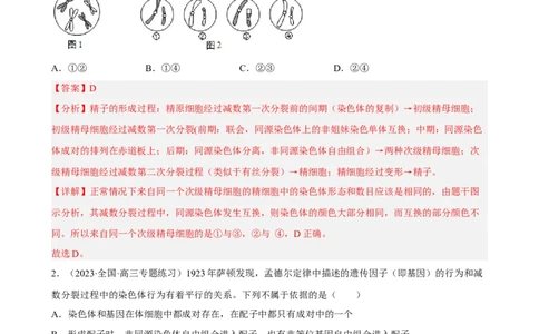 解密07遗传的细胞学基础（分层训练)（解析版）_新高考复习资料_2023年新高考复习资料_二轮复习_高频考点解密2023年高考生物二轮复习讲义+分层训练（全国通用）288808838