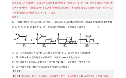 解密07遗传的细胞学基础（分层训练)（解析版）_新高考复习资料_2023年新高考复习资料_二轮复习_高频考点解密2023年高考生物二轮复习讲义+分层训练（全国通用）288808838