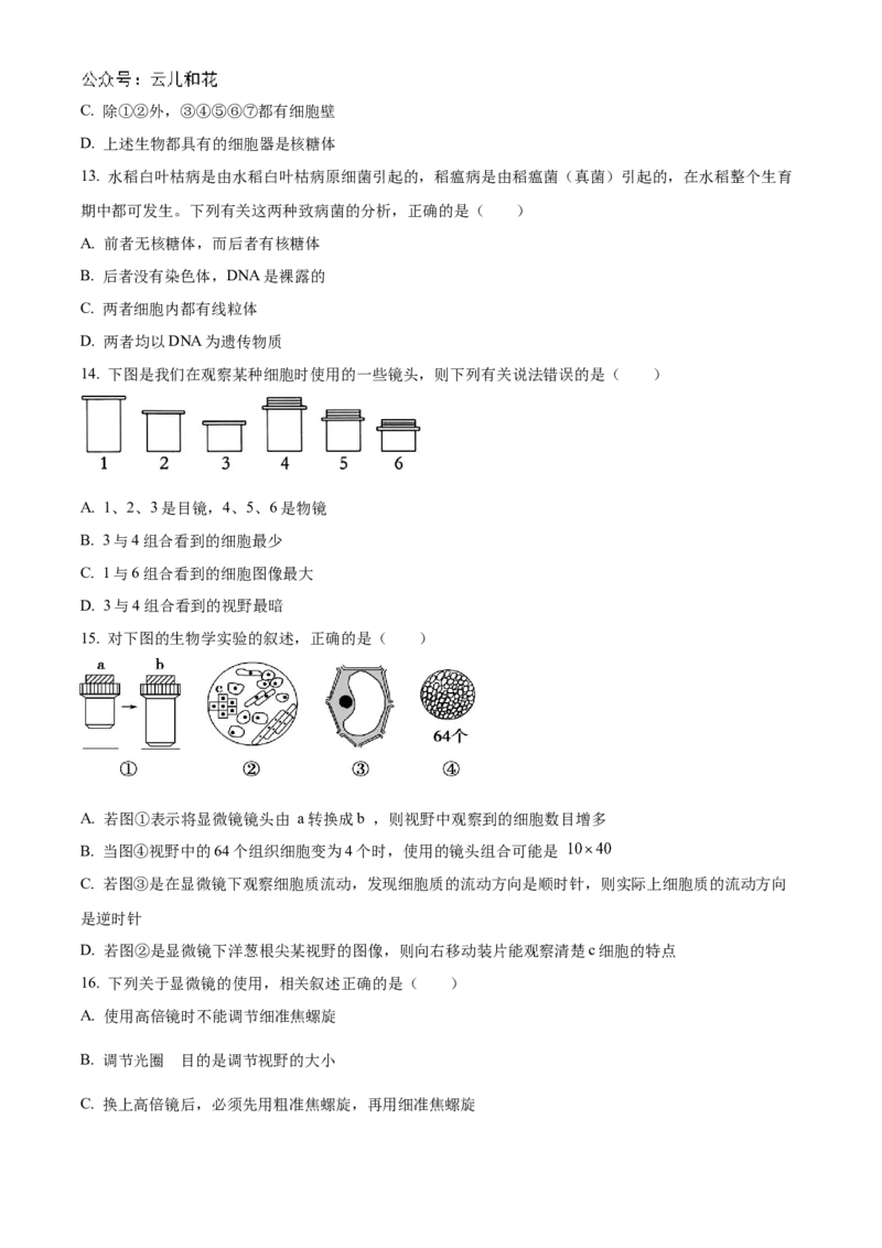 重庆市七校联考2024-2025学年高一上学期第一次月考生物试题Word版无答案_2024年11月试卷_1105重庆市七校联考2024-2025学年高一上学期第一次月考