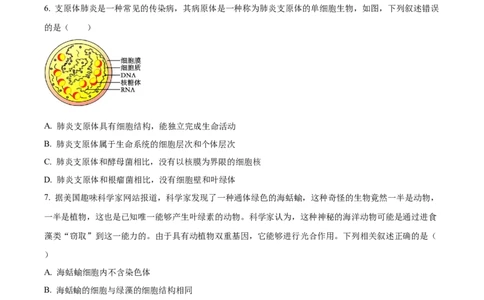 重庆市七校联考2024-2025学年高一上学期第一次月考生物试题Word版无答案_2024年11月试卷_1105重庆市七校联考2024-2025学年高一上学期第一次月考