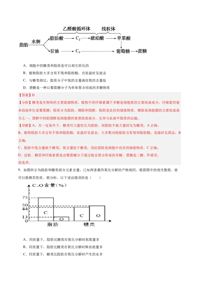 考点通关卷03糖类和脂质（解析版）_新高考复习资料_2025年新高考资料_2025年高考生物一轮复习考点通关卷（新高考通用）