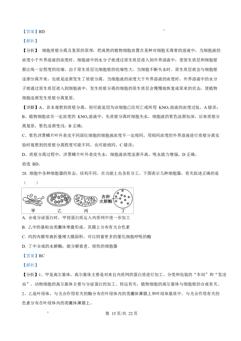 黑龙江省牡丹江市第二高级中学2025-2026学年高一上学期期中考试生物试卷Word版含解析_2025年12月高一试卷_251204黑龙江省牡丹江市第二高级中学2025-2026学年高一上学期期中（全）
