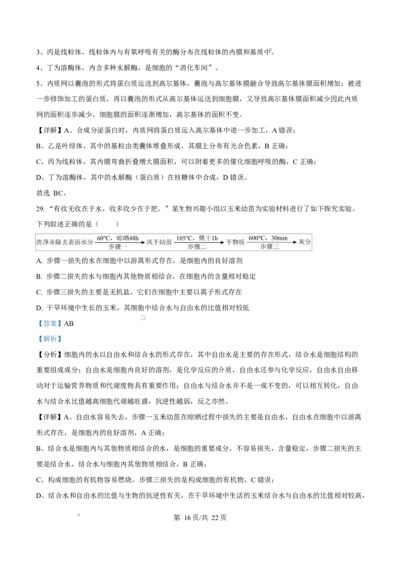 黑龙江省牡丹江市第二高级中学2025-2026学年高一上学期期中考试生物试卷Word版含解析_2025年12月高一试卷_251204黑龙江省牡丹江市第二高级中学2025-2026学年高一上学期期中（全）