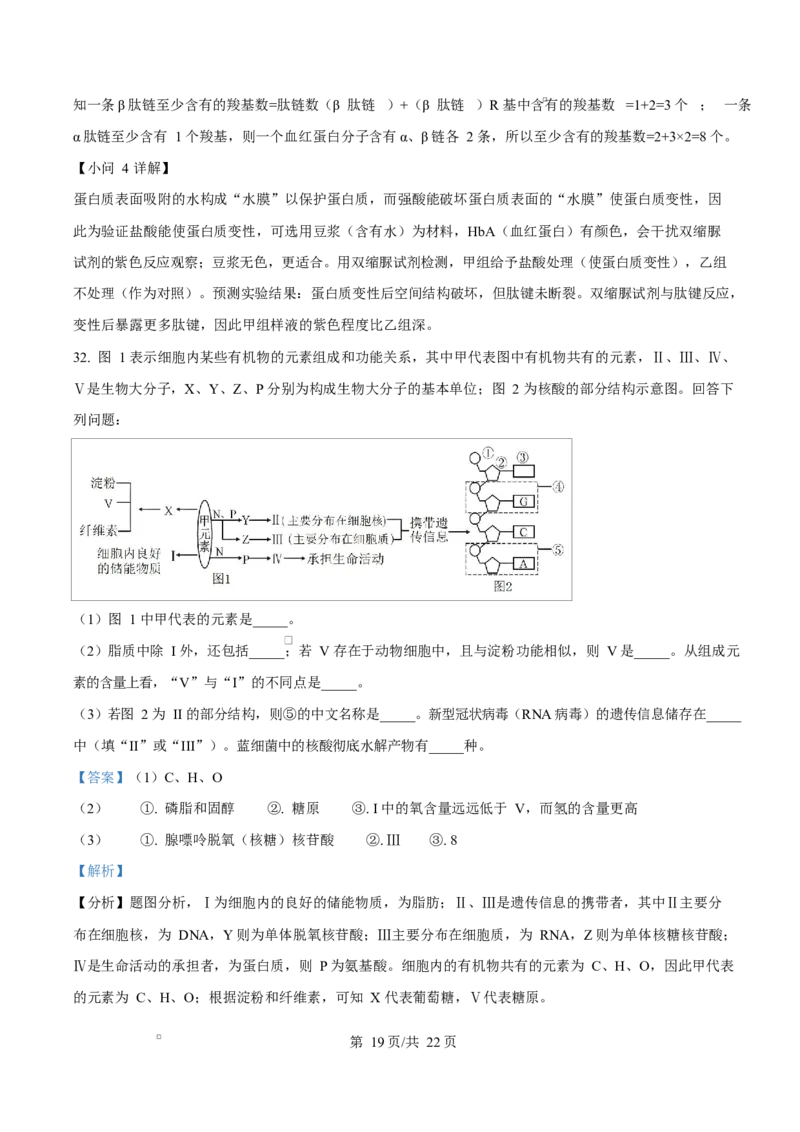 黑龙江省牡丹江市第二高级中学2025-2026学年高一上学期期中考试生物试卷Word版含解析_2025年12月高一试卷_251204黑龙江省牡丹江市第二高级中学2025-2026学年高一上学期期中（全）