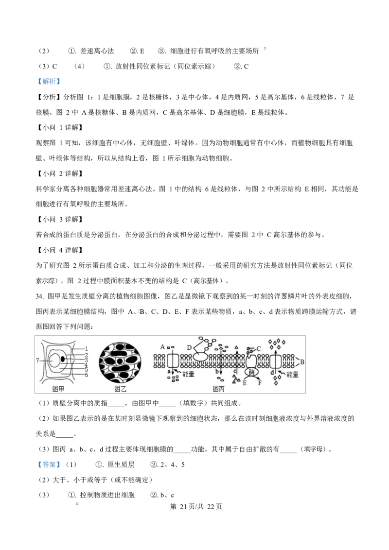 黑龙江省牡丹江市第二高级中学2025-2026学年高一上学期期中考试生物试卷Word版含解析_2025年12月高一试卷_251204黑龙江省牡丹江市第二高级中学2025-2026学年高一上学期期中（全）