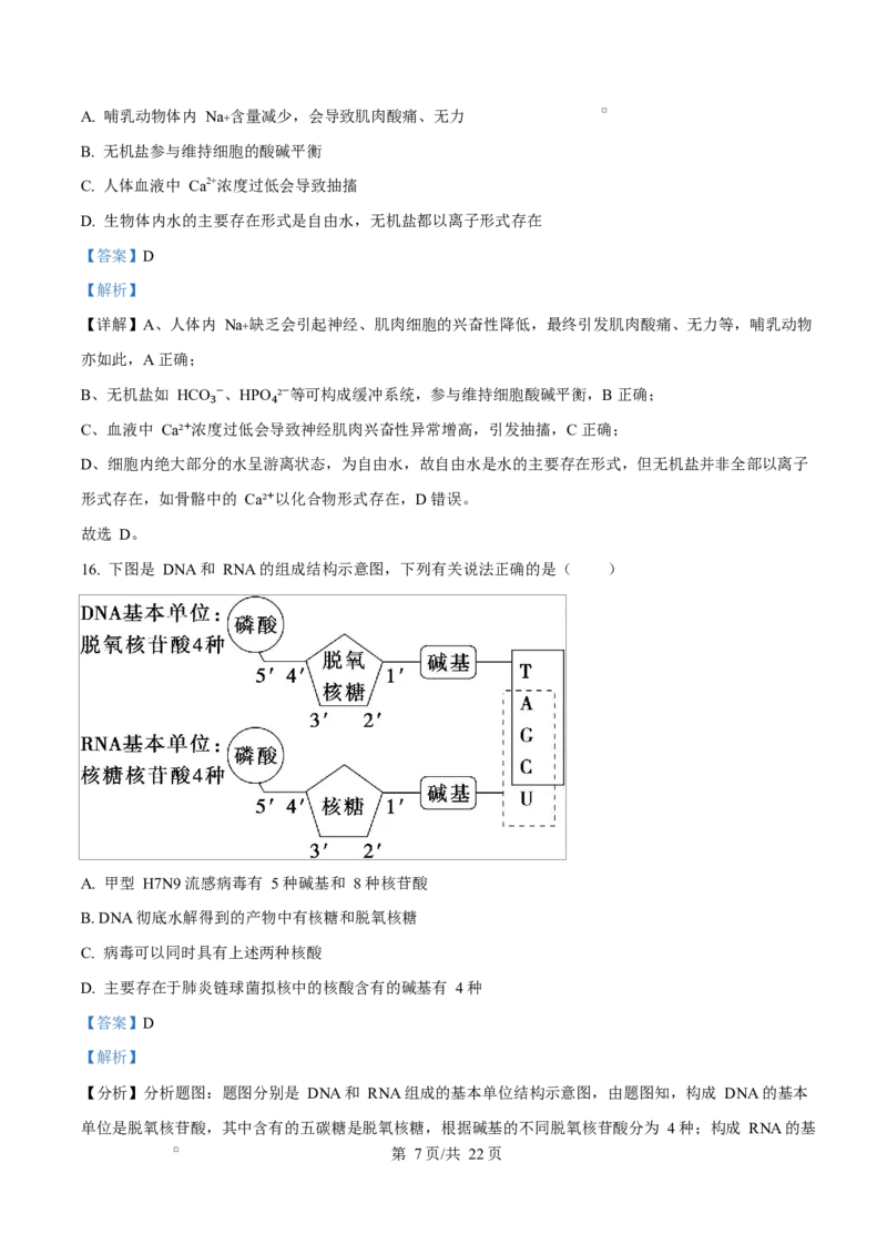 黑龙江省牡丹江市第二高级中学2025-2026学年高一上学期期中考试生物试卷Word版含解析_2025年12月高一试卷_251204黑龙江省牡丹江市第二高级中学2025-2026学年高一上学期期中（全）