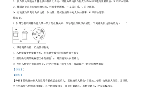 黑龙江省牡丹江市第二高级中学2025-2026学年高一上学期期中考试生物试卷Word版含解析_2025年12月高一试卷_251204黑龙江省牡丹江市第二高级中学2025-2026学年高一上学期期中（全）