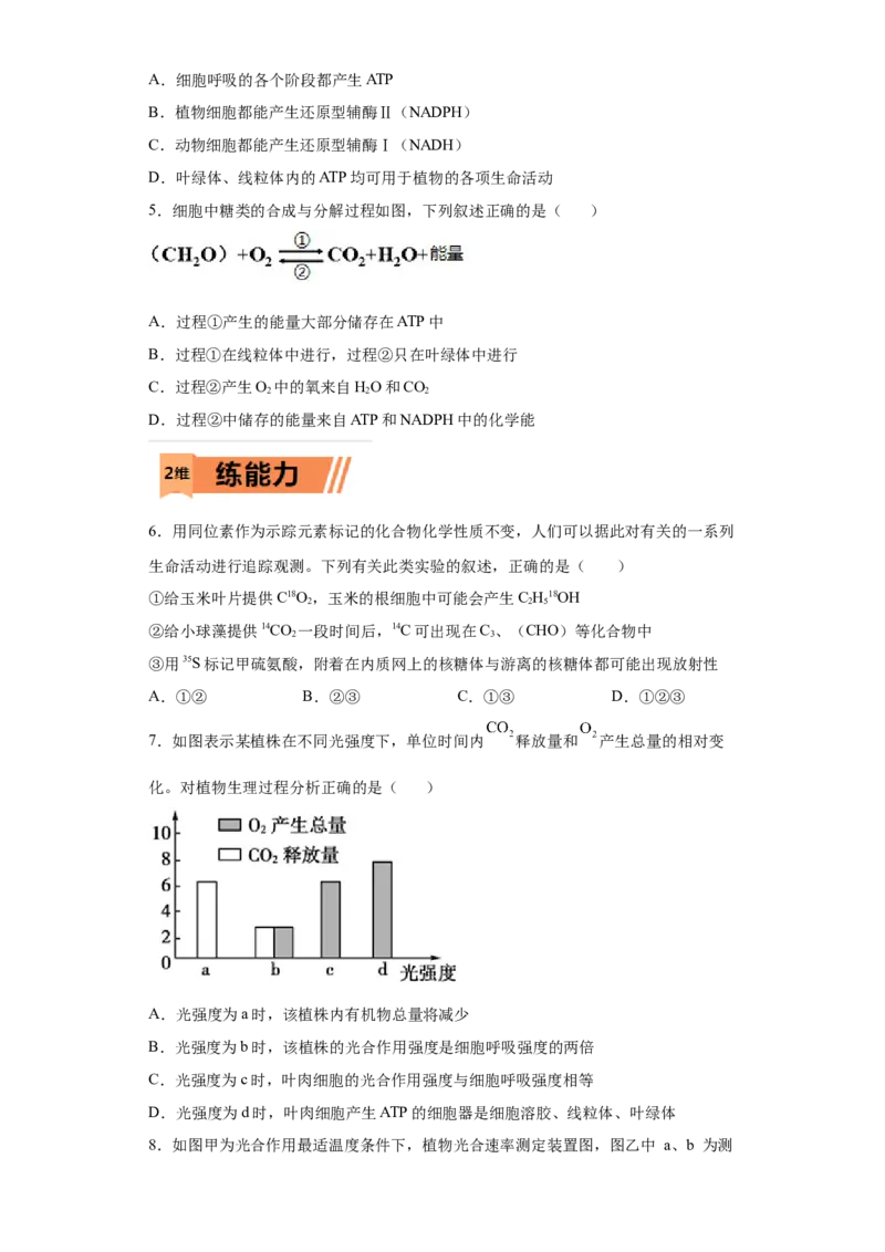 课时10光合作用和细胞呼吸的比较-2023年高考生物一轮复习小题多维练（原卷版）_通用版（老高考）复习资料_2023年复习资料_一轮复习_2023年高考生物一轮复习小题多维练（全国通用）
