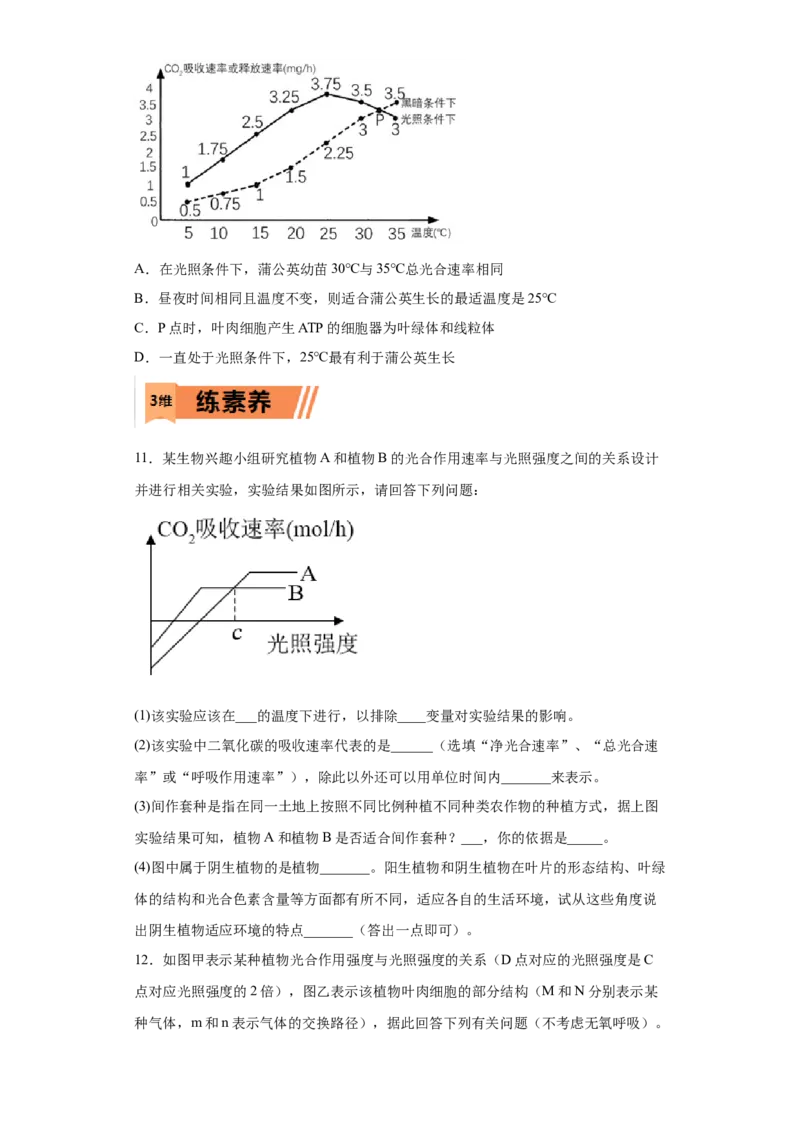 课时10光合作用和细胞呼吸的比较-2023年高考生物一轮复习小题多维练（原卷版）_通用版（老高考）复习资料_2023年复习资料_一轮复习_2023年高考生物一轮复习小题多维练（全国通用）