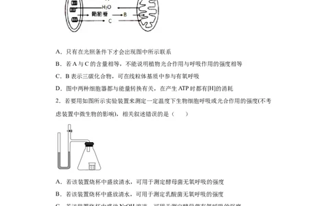 课时10光合作用和细胞呼吸的比较-2023年高考生物一轮复习小题多维练（原卷版）_通用版（老高考）复习资料_2023年复习资料_一轮复习_2023年高考生物一轮复习小题多维练（全国通用）