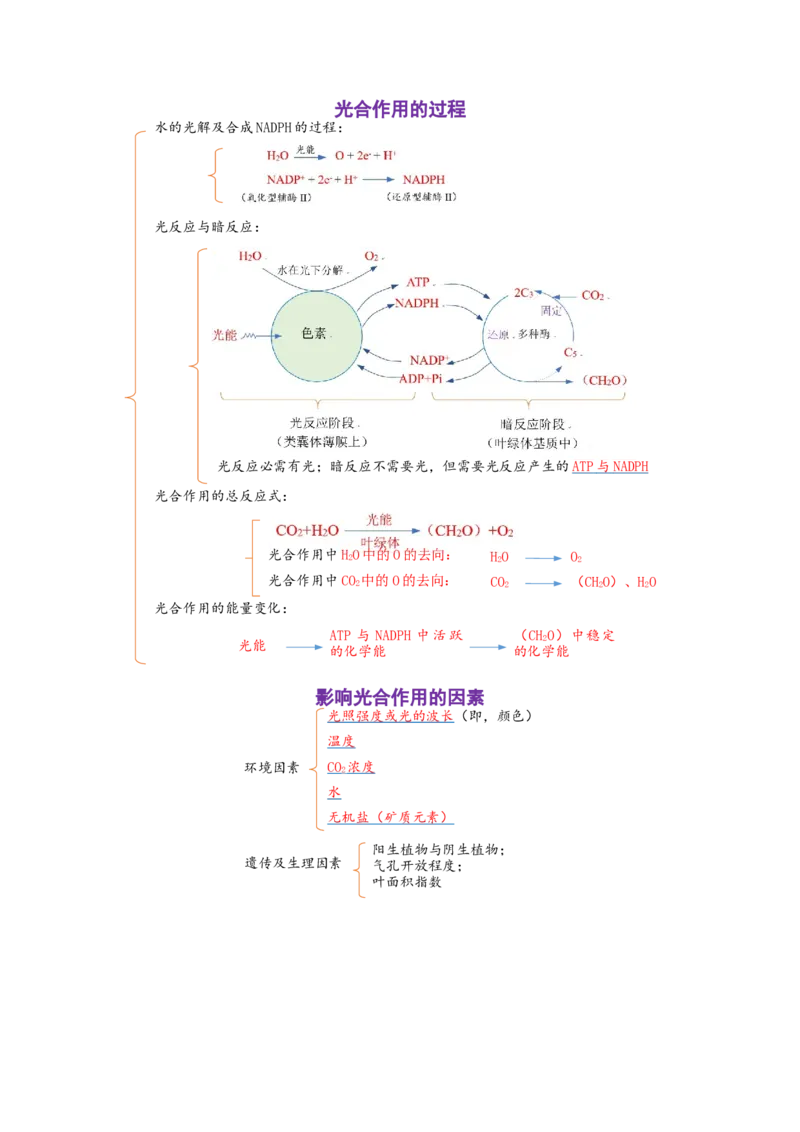 解密04细胞的能量供应和利用（讲义)（学生版）_通用版（老高考）复习资料_2023年复习资料_二轮复习_高频考点解密2023年高考生物二轮复习讲义+分层训练（全国通用）