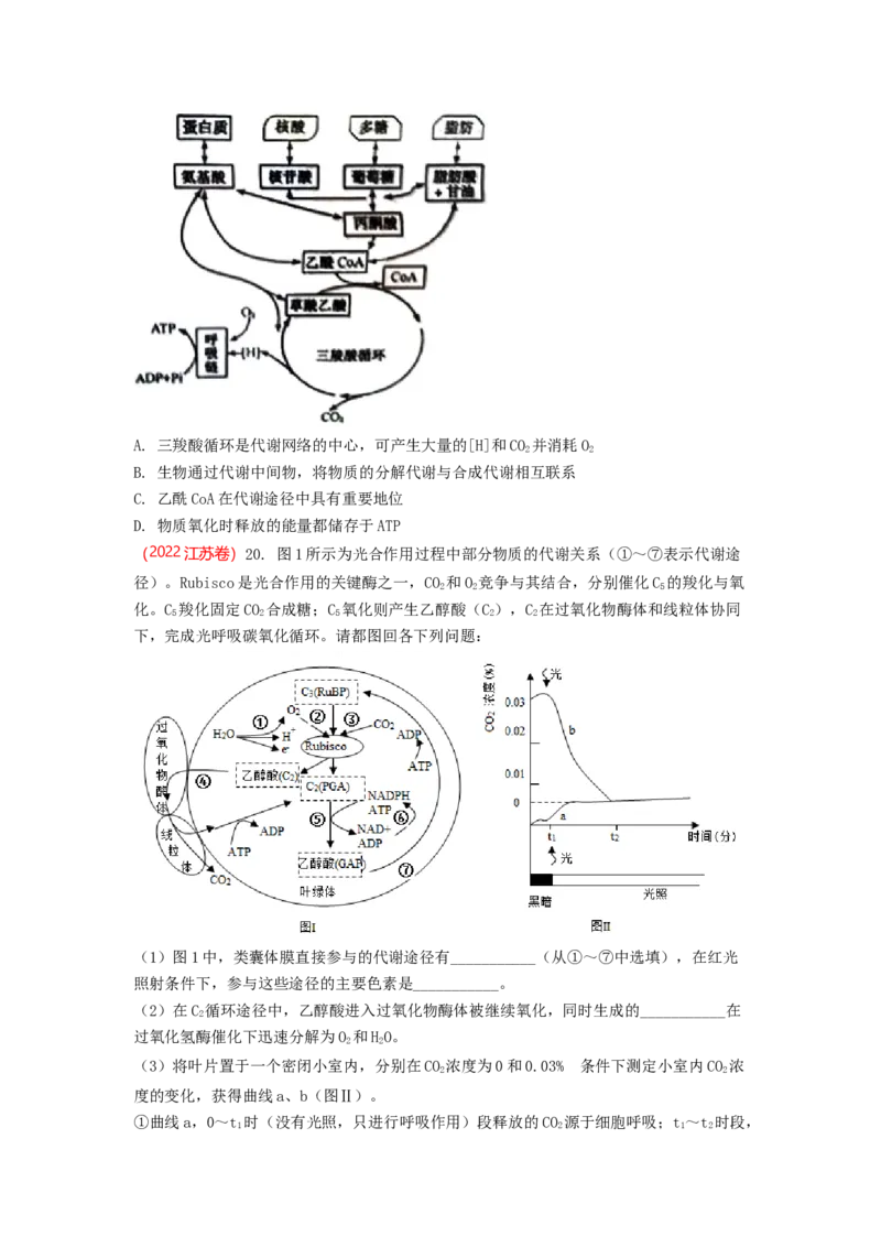 解密04细胞的能量供应和利用（讲义)（学生版）_通用版（老高考）复习资料_2023年复习资料_二轮复习_高频考点解密2023年高考生物二轮复习讲义+分层训练（全国通用）