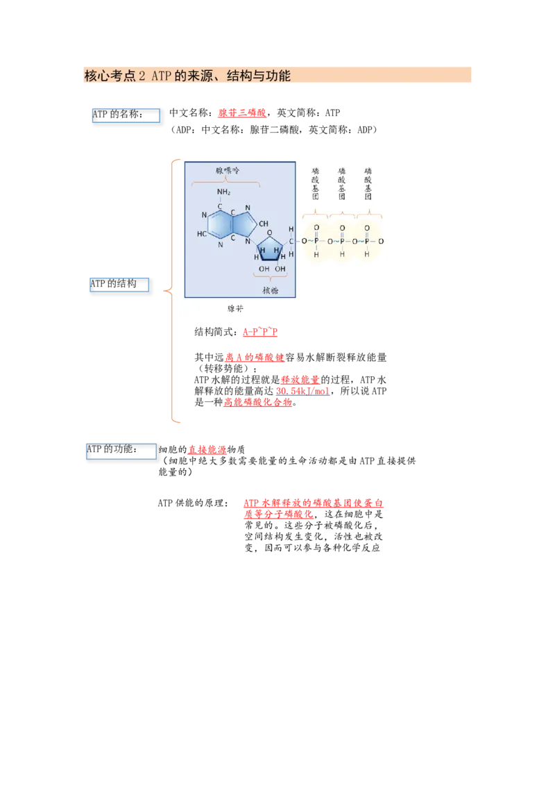 解密04细胞的能量供应和利用（讲义)（学生版）_通用版（老高考）复习资料_2023年复习资料_二轮复习_高频考点解密2023年高考生物二轮复习讲义+分层训练（全国通用）