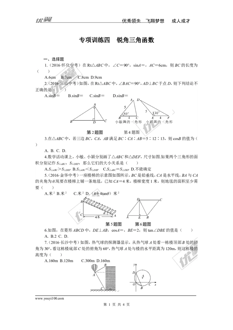 专项训练四　锐角三角函数_湘教版初中数学课件_数学湘教版9下教案PPT课件配套资料_数学湘教版初中9年级下册--7.各阶段精品试题_九年级全册复习专项训练
