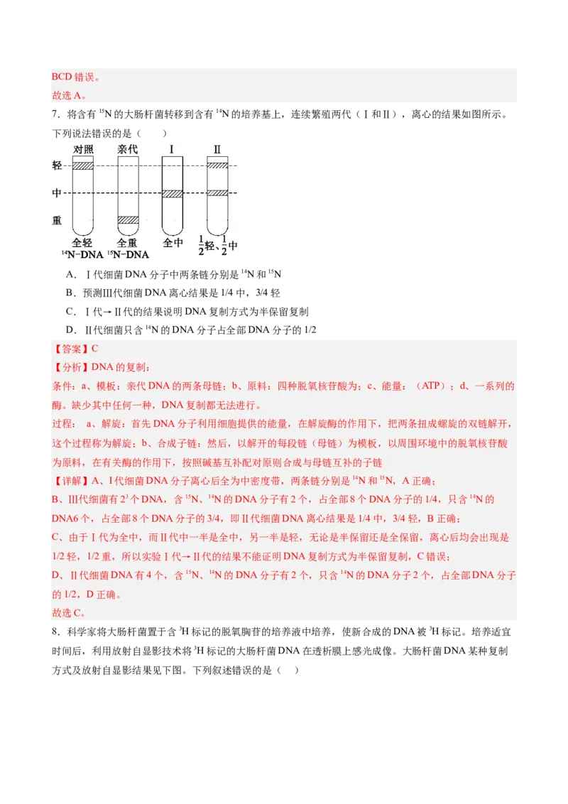 考点通关卷20DNA结构、复制与基因的本质（解析版）_2025年新高考资料_一轮复习_2025年高考生物一轮复习考点通关卷（新高考通用）