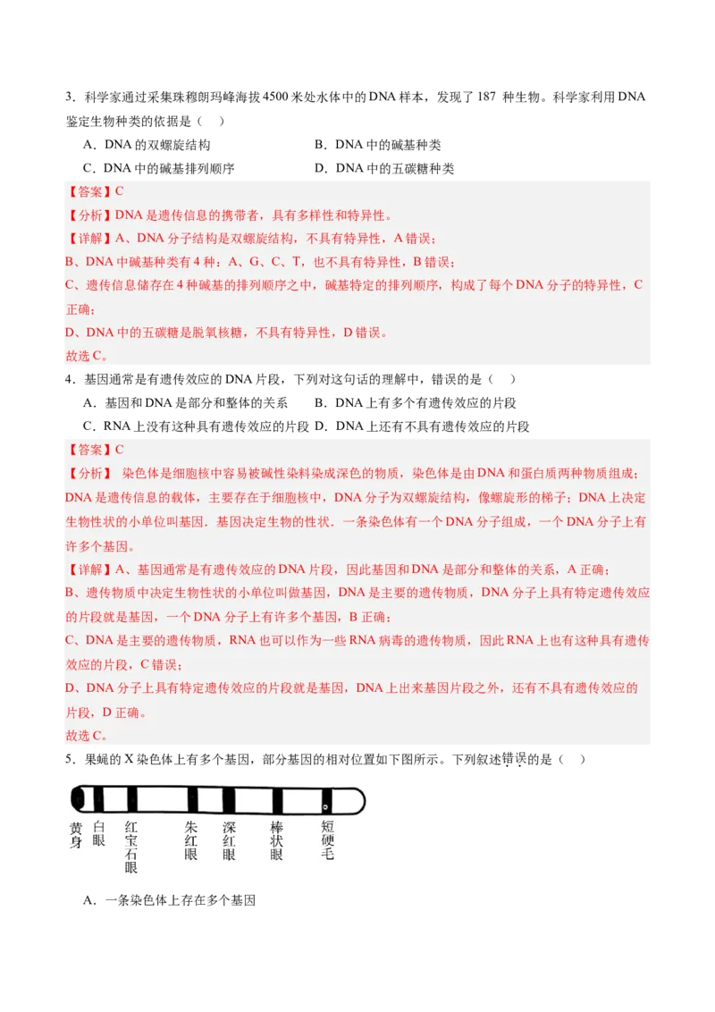 考点通关卷20DNA结构、复制与基因的本质（解析版）_2025年新高考资料_一轮复习_2025年高考生物一轮复习考点通关卷（新高考通用）