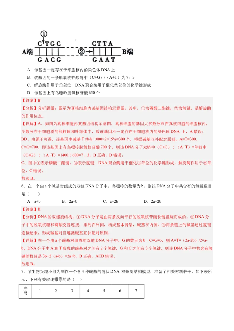 考点通关卷20DNA结构、复制与基因的本质（解析版）_2025年新高考资料_一轮复习_2025年高考生物一轮复习考点通关卷（新高考通用）