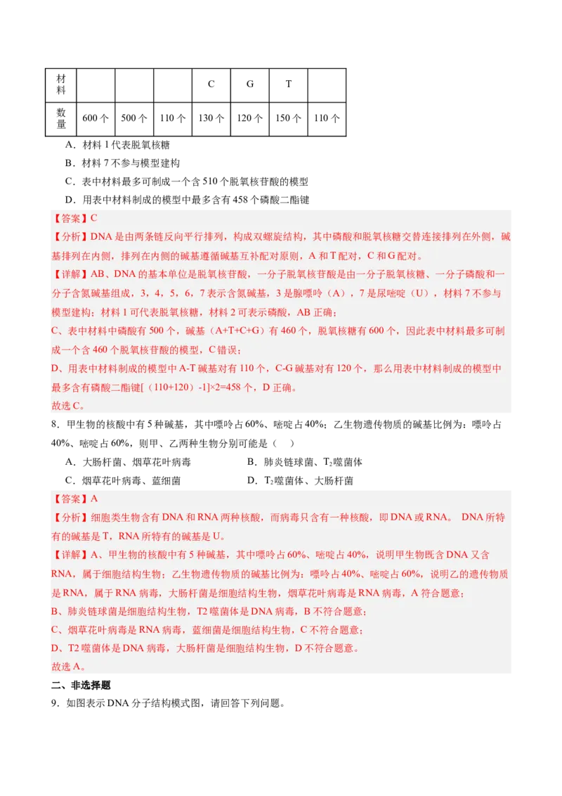 考点通关卷20DNA结构、复制与基因的本质（解析版）_2025年新高考资料_一轮复习_2025年高考生物一轮复习考点通关卷（新高考通用）