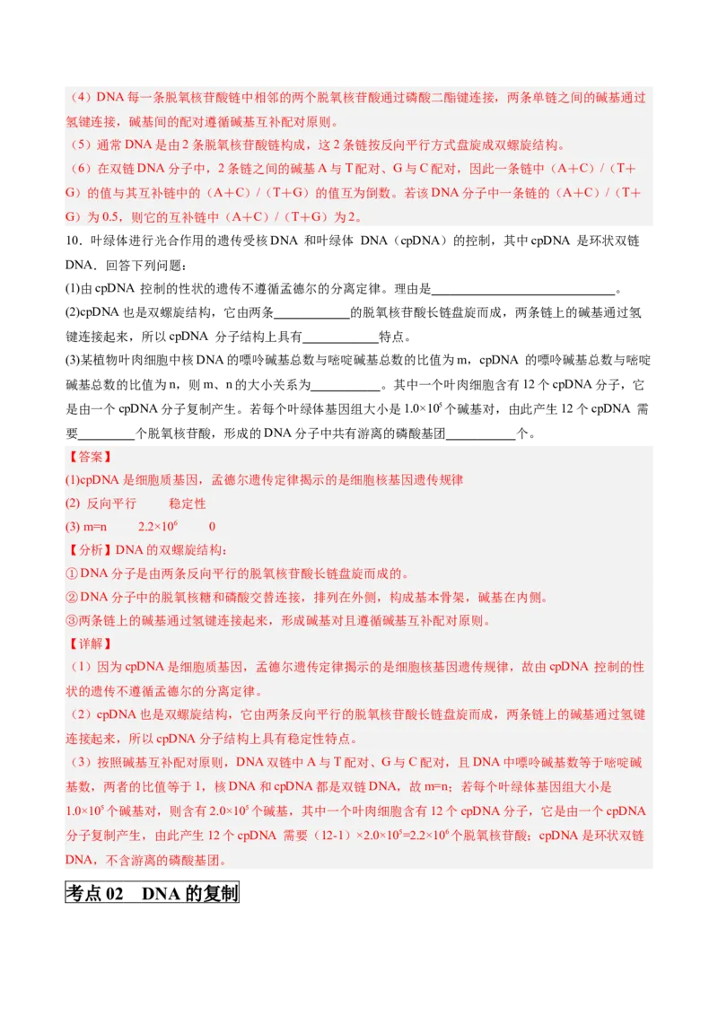 考点通关卷20DNA结构、复制与基因的本质（解析版）_2025年新高考资料_一轮复习_2025年高考生物一轮复习考点通关卷（新高考通用）