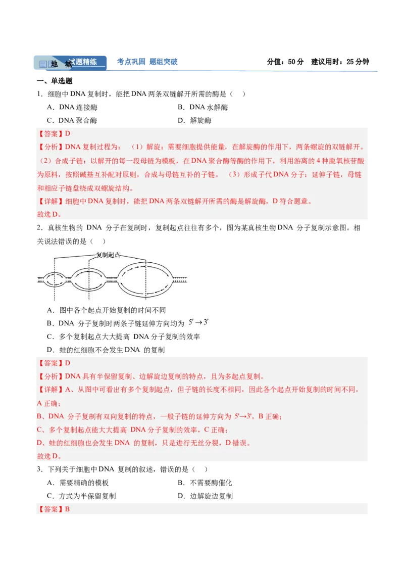 考点通关卷20DNA结构、复制与基因的本质（解析版）_2025年新高考资料_一轮复习_2025年高考生物一轮复习考点通关卷（新高考通用）