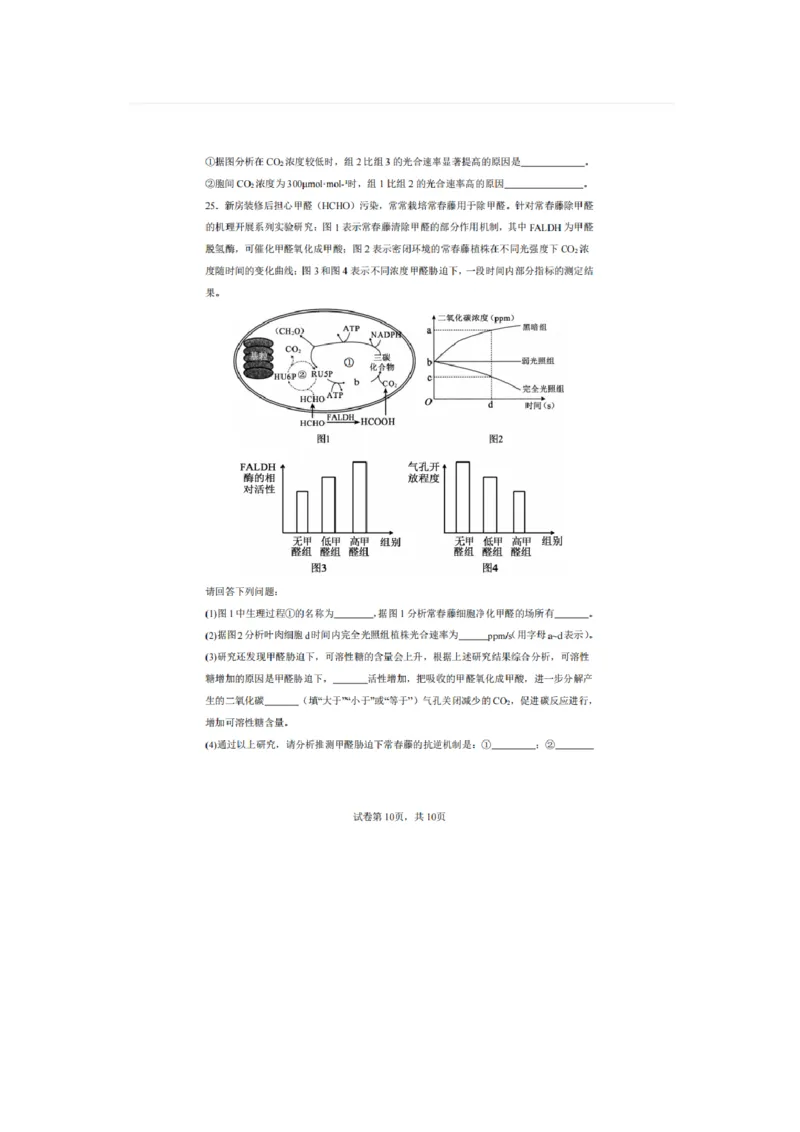 辽宁省实验中学2025-2026学年高一上学期12月月考生物试卷（含答案）_2025年12月高一试卷_251218辽宁省实验中学2025-2026学年高一上学期12月月考（全）