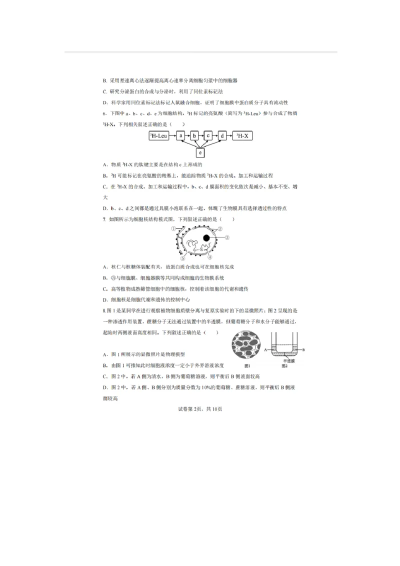 辽宁省实验中学2025-2026学年高一上学期12月月考生物试卷（含答案）_2025年12月高一试卷_251218辽宁省实验中学2025-2026学年高一上学期12月月考（全）