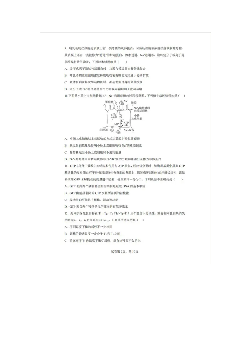辽宁省实验中学2025-2026学年高一上学期12月月考生物试卷（含答案）_2025年12月高一试卷_251218辽宁省实验中学2025-2026学年高一上学期12月月考（全）