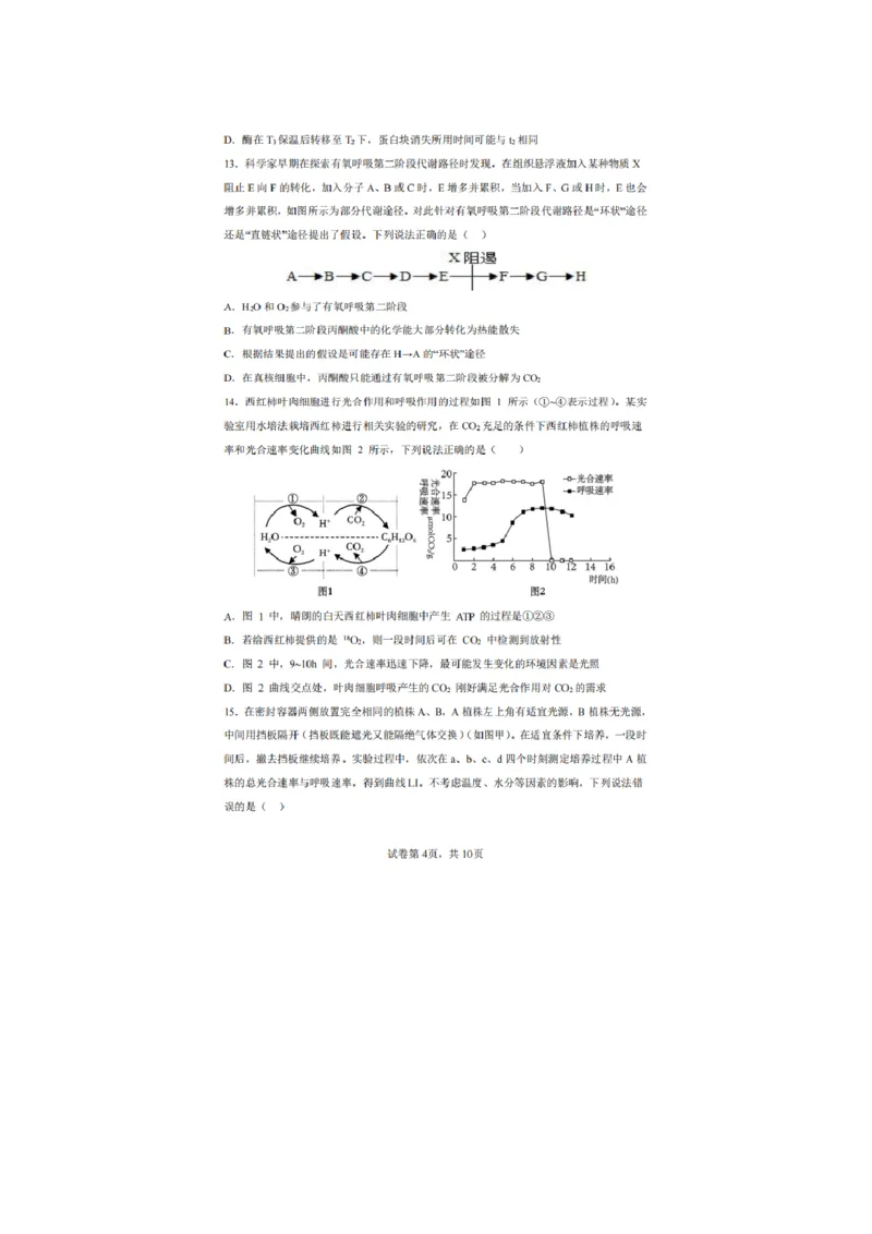 辽宁省实验中学2025-2026学年高一上学期12月月考生物试卷（含答案）_2025年12月高一试卷_251218辽宁省实验中学2025-2026学年高一上学期12月月考（全）