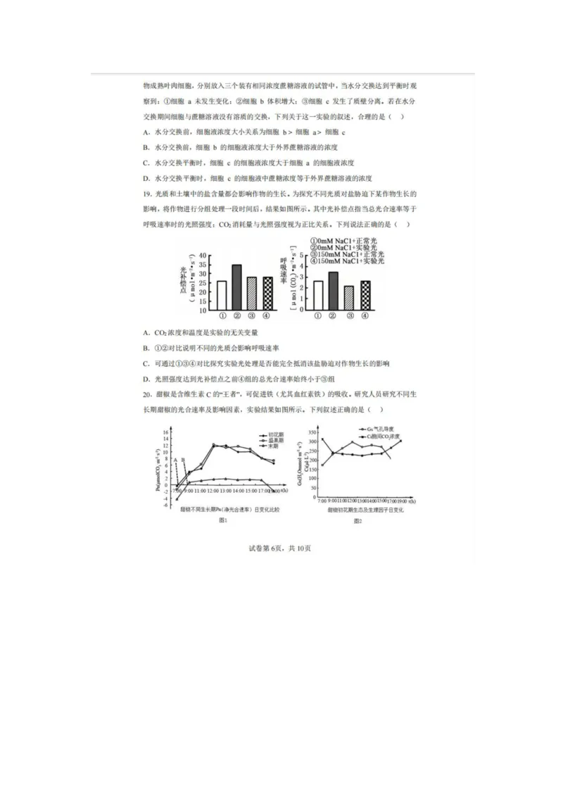 辽宁省实验中学2025-2026学年高一上学期12月月考生物试卷（含答案）_2025年12月高一试卷_251218辽宁省实验中学2025-2026学年高一上学期12月月考（全）