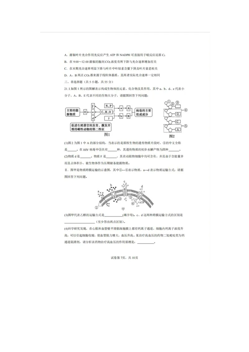 辽宁省实验中学2025-2026学年高一上学期12月月考生物试卷（含答案）_2025年12月高一试卷_251218辽宁省实验中学2025-2026学年高一上学期12月月考（全）