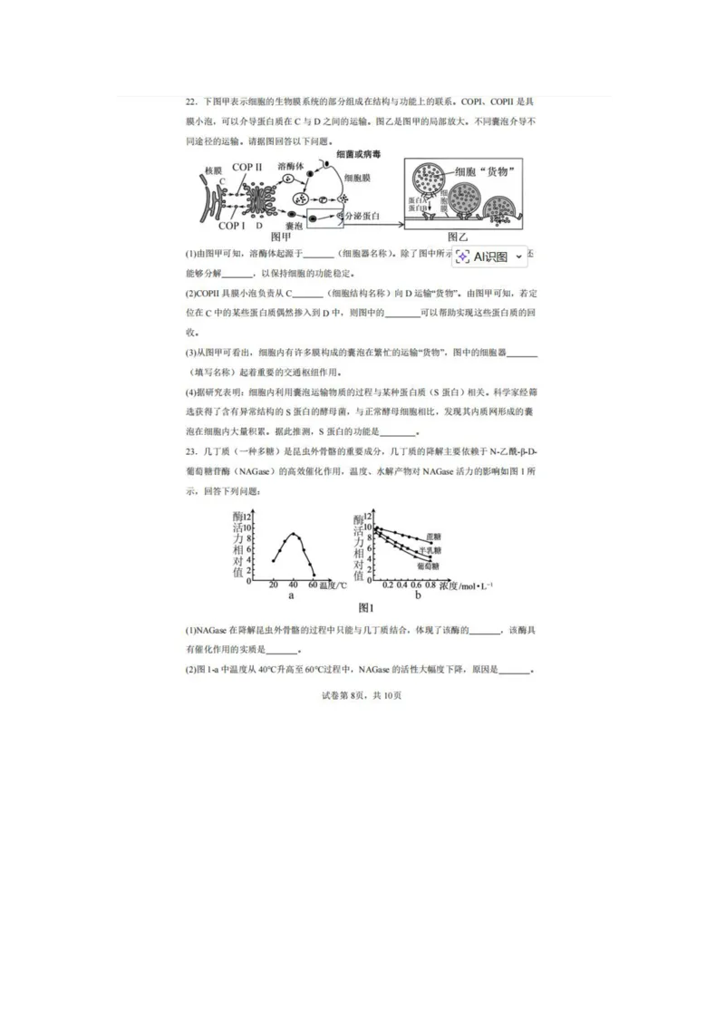 辽宁省实验中学2025-2026学年高一上学期12月月考生物试卷（含答案）_2025年12月高一试卷_251218辽宁省实验中学2025-2026学年高一上学期12月月考（全）