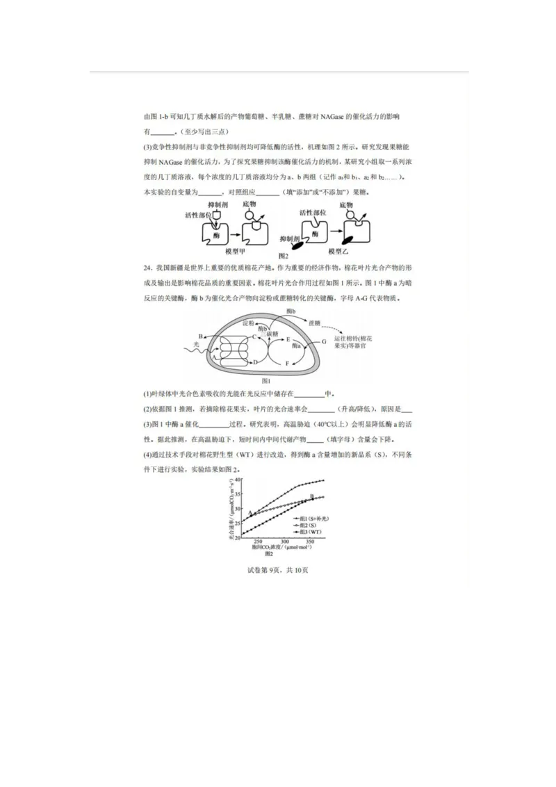 辽宁省实验中学2025-2026学年高一上学期12月月考生物试卷（含答案）_2025年12月高一试卷_251218辽宁省实验中学2025-2026学年高一上学期12月月考（全）