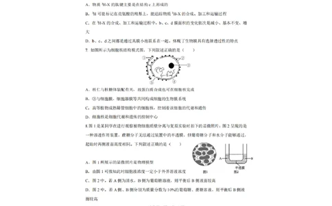 辽宁省实验中学2025-2026学年高一上学期12月月考生物试卷（含答案）_2025年12月高一试卷_251218辽宁省实验中学2025-2026学年高一上学期12月月考（全）