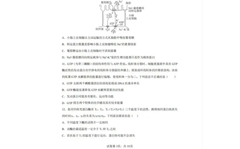 辽宁省实验中学2025-2026学年高一上学期12月月考生物试卷（含答案）_2025年12月高一试卷_251218辽宁省实验中学2025-2026学年高一上学期12月月考（全）