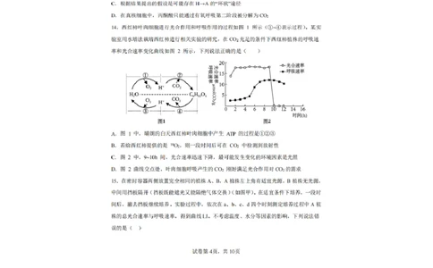 辽宁省实验中学2025-2026学年高一上学期12月月考生物试卷（含答案）_2025年12月高一试卷_251218辽宁省实验中学2025-2026学年高一上学期12月月考（全）
