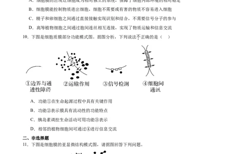 考点通关卷05细胞膜和细胞核（原卷版）_2025年新高考资料_一轮复习_2025年高考生物一轮复习考点通关卷（新高考通用）