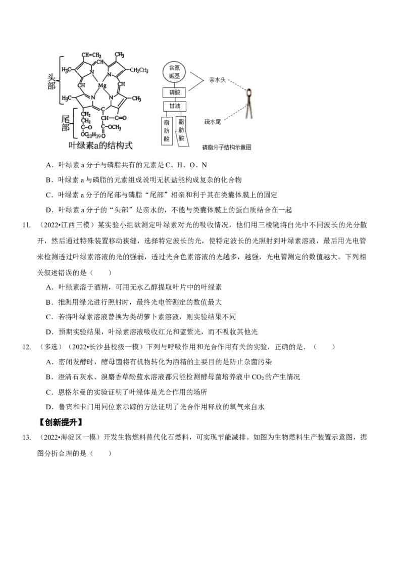 题型7光合作用与细胞呼吸相关的实验探究（题型集训）（原卷版）_新高考复习资料_2023年新高考复习资料_二轮复习_技巧点拨备战2023年高考生物二轮题型复习讲解286731240