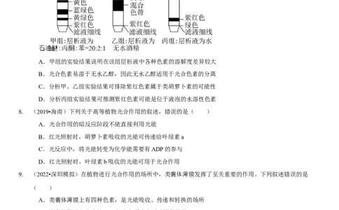 题型7光合作用与细胞呼吸相关的实验探究（题型集训）（原卷版）_新高考复习资料_2023年新高考复习资料_二轮复习_技巧点拨备战2023年高考生物二轮题型复习讲解286731240