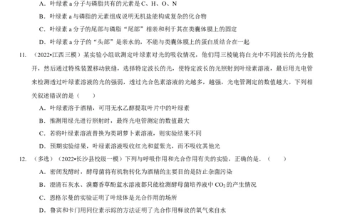 题型7光合作用与细胞呼吸相关的实验探究（题型集训）（原卷版）_新高考复习资料_2023年新高考复习资料_二轮复习_技巧点拨备战2023年高考生物二轮题型复习讲解286731240