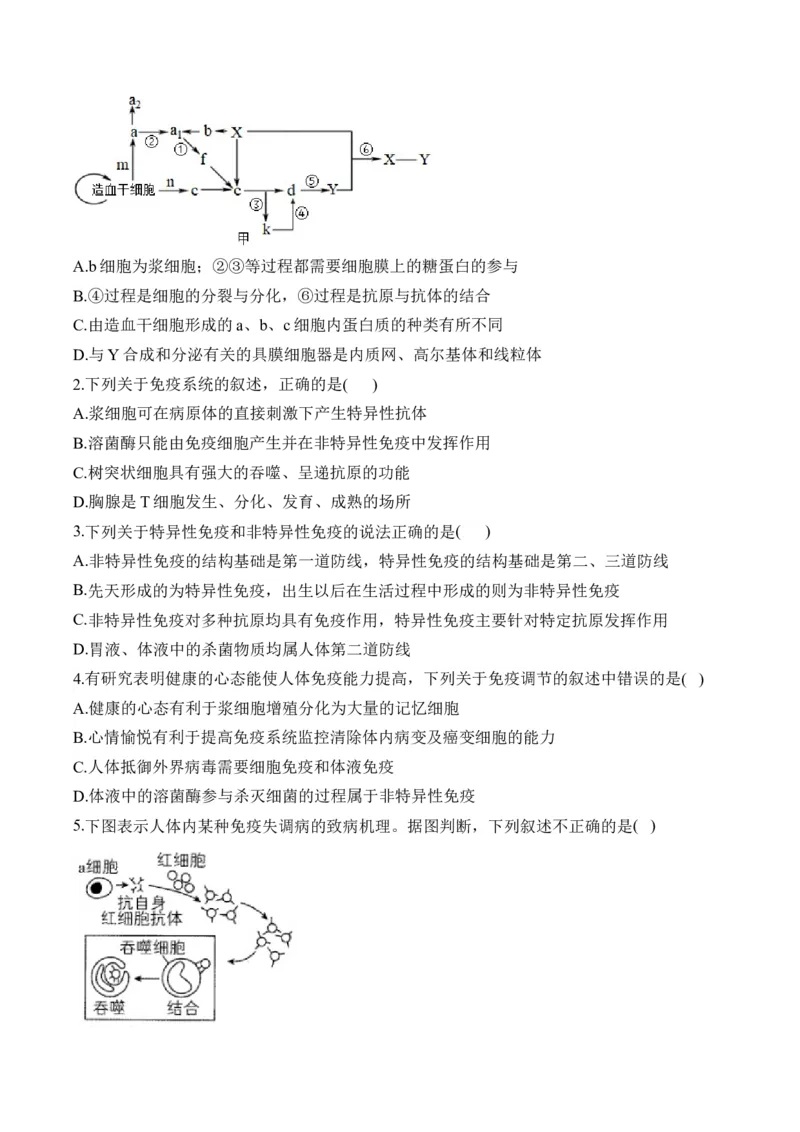（18）免疫调节&mdash;&mdash;2025届高考生物二轮复习易错重难提升学案（含解析）_2025年新高考资料_二轮复习_2025届高考生物二轮复习易错重难提升（含解析）
